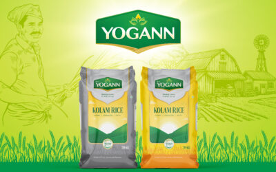 Yogann